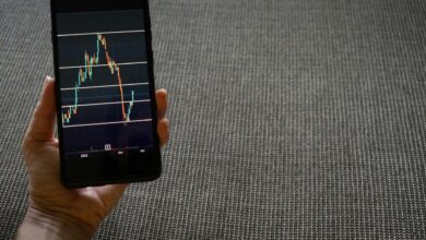 a person holding a cell phone with a chart on it